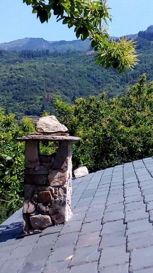 شقة Casa Millin Borzonasca المظهر الخارجي الصورة